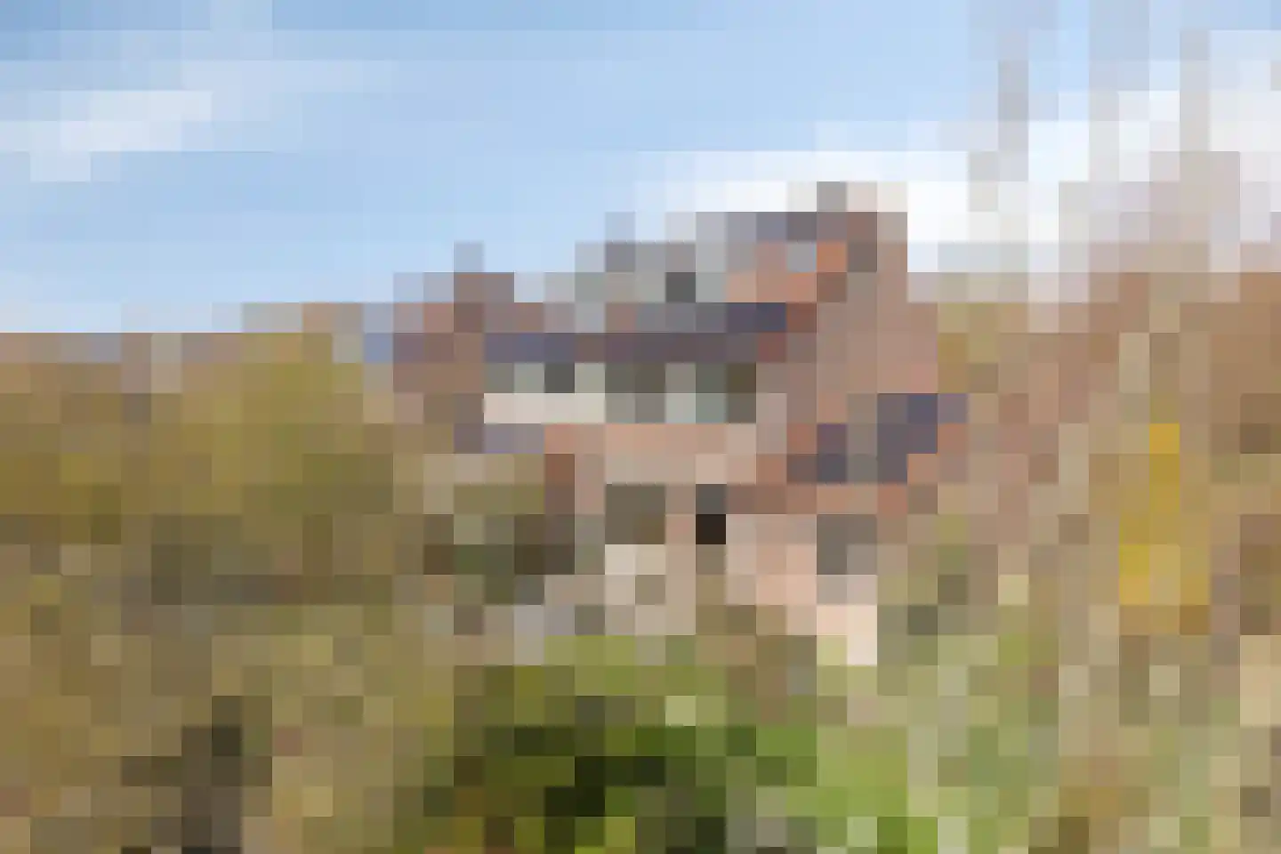 Ceder 22 Hoorn foto 2