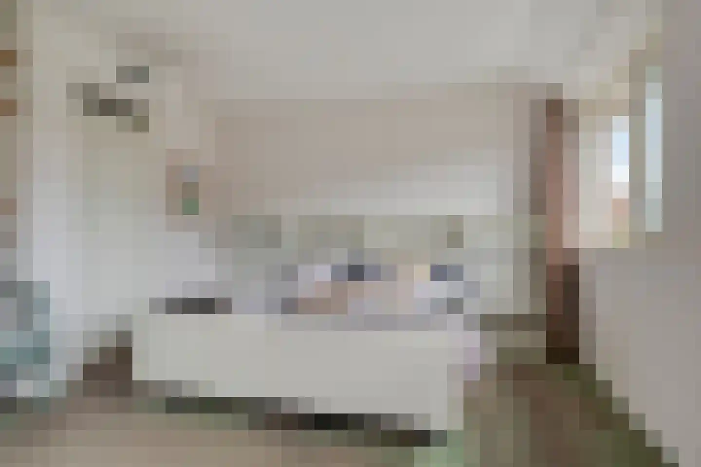 Ceder 22 Hoorn thumbnail 24