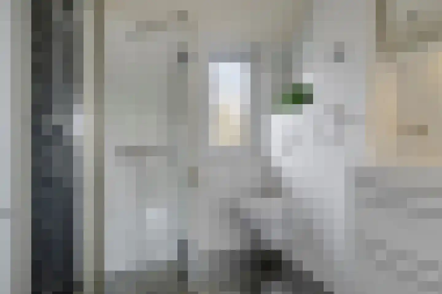 Ceder 22 Hoorn thumbnail 25