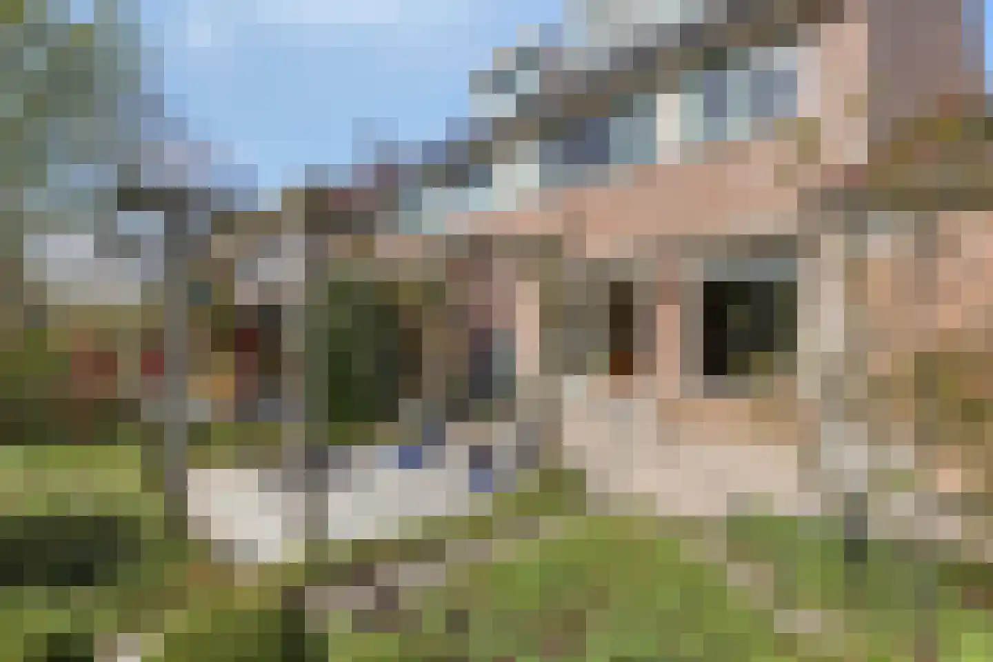 Ceder 22 Hoorn thumbnail 38