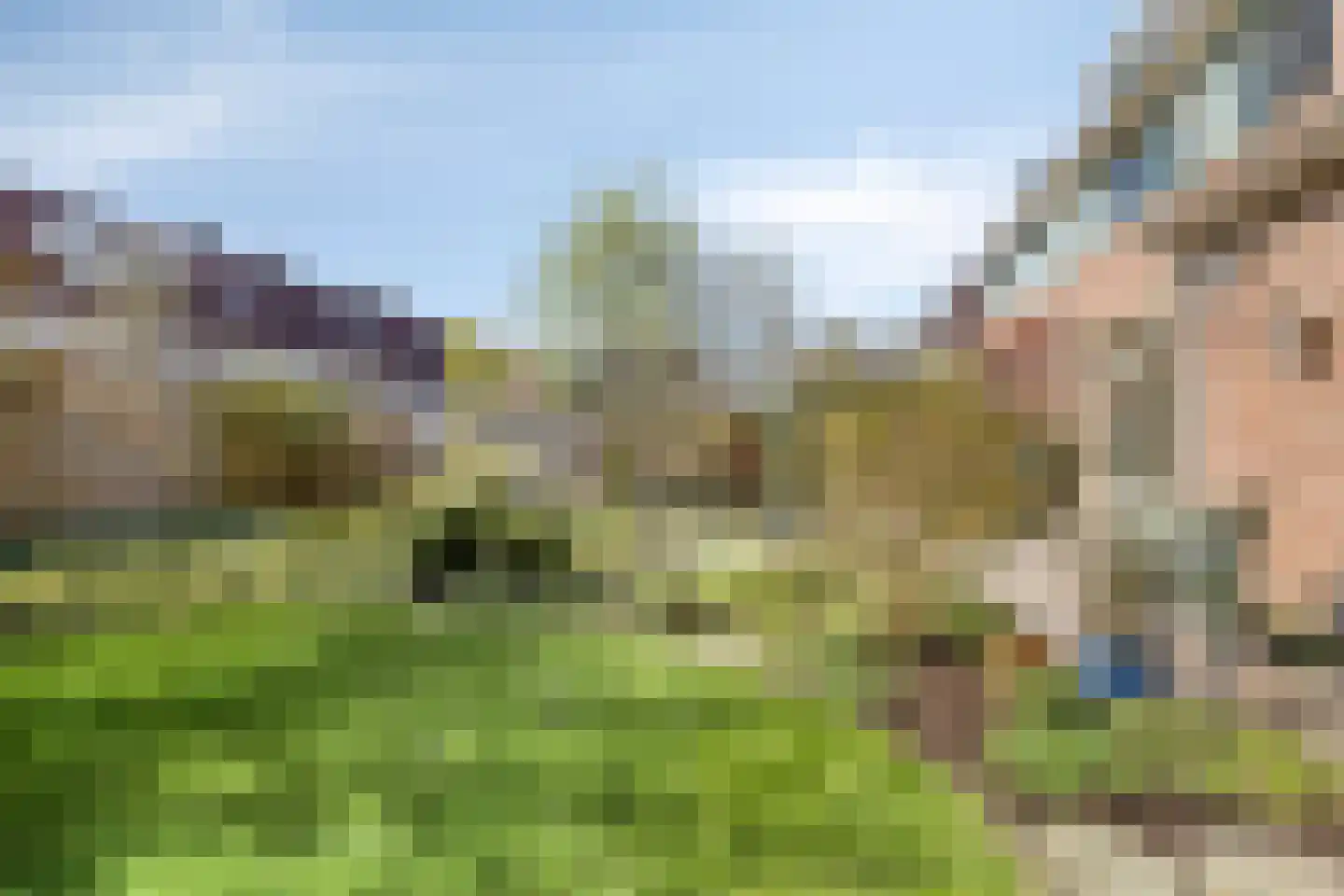 Ceder 22 Hoorn thumbnail 39