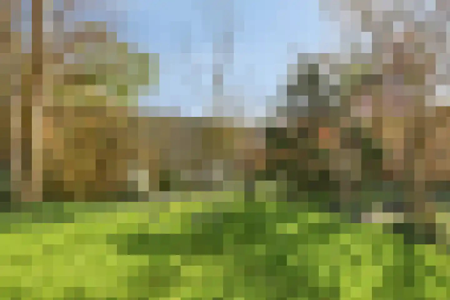 Ceder 22 Hoorn thumbnail 41