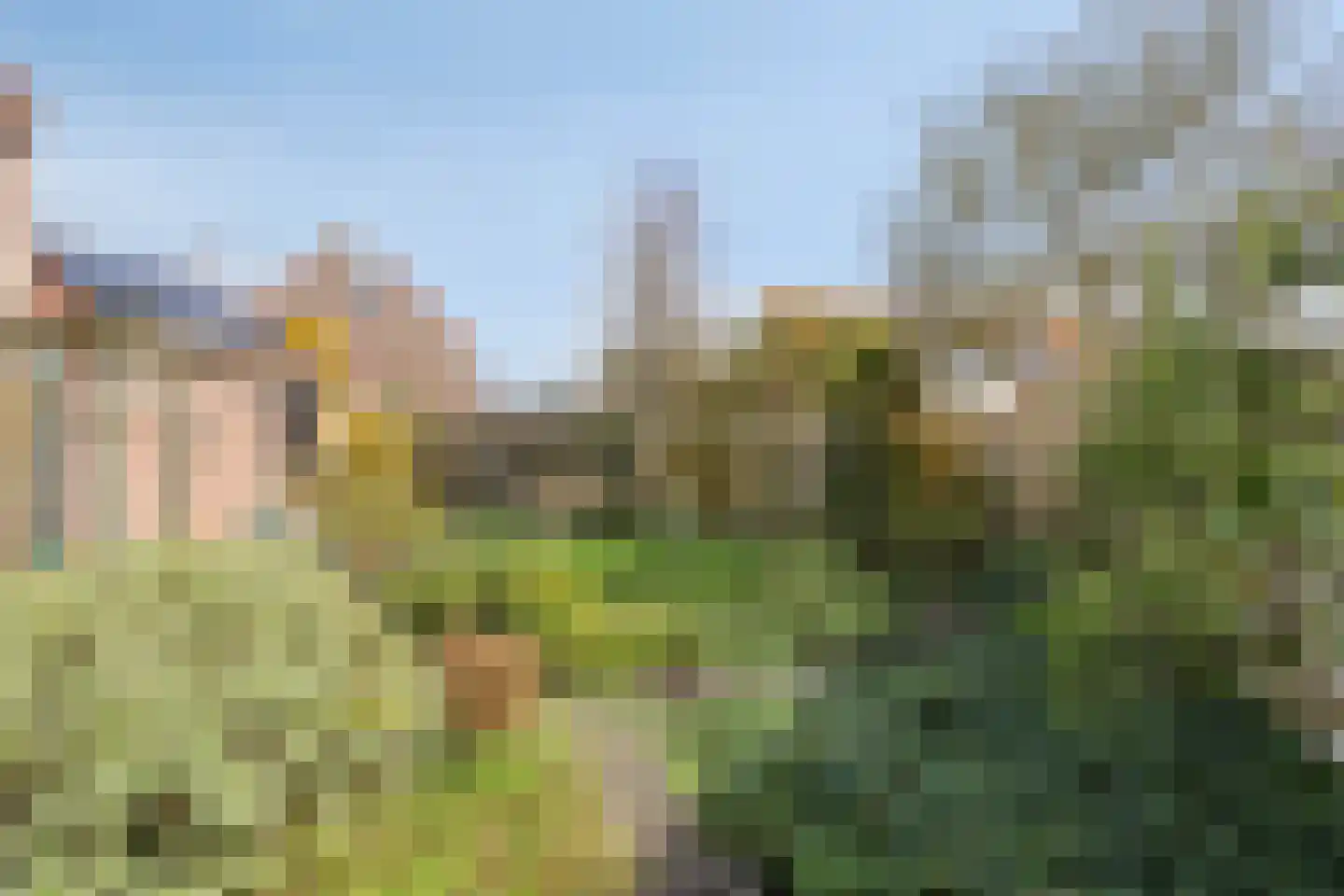 Ceder 22 Hoorn thumbnail 42