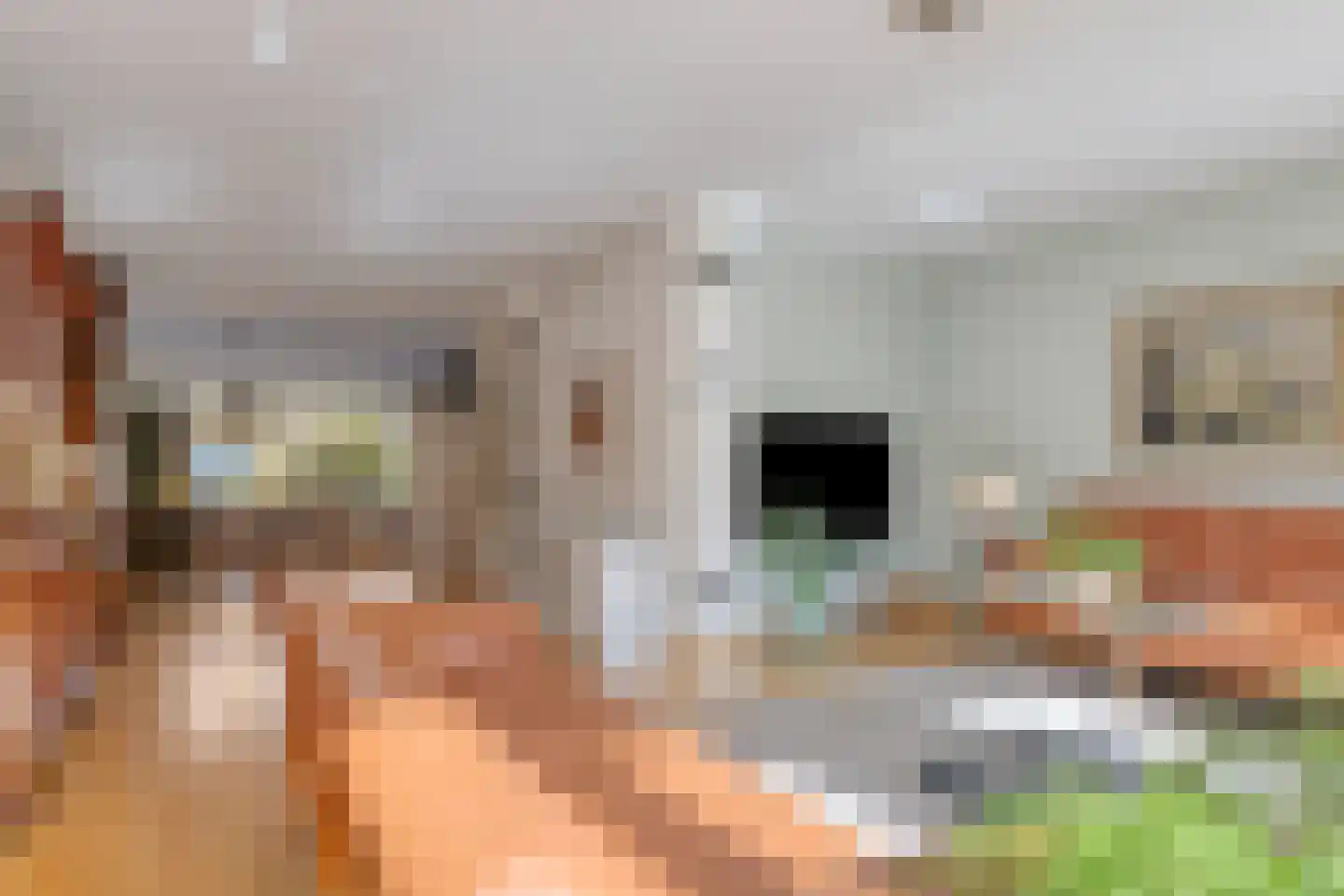 Ceder 22 Hoorn thumbnail 9