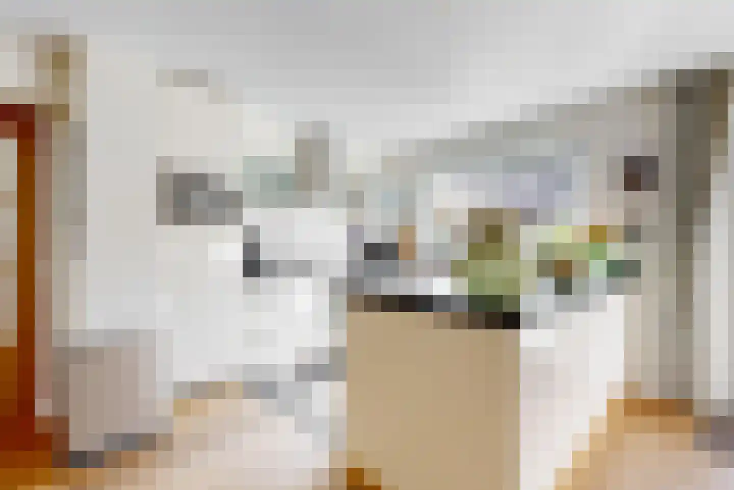 Ceder 34 Hoorn thumbnail 10