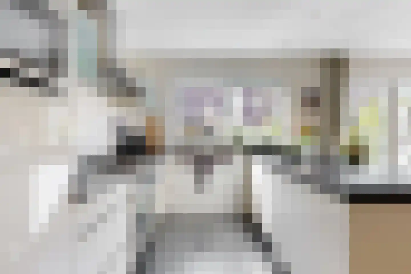 Ceder 34 Hoorn thumbnail 11