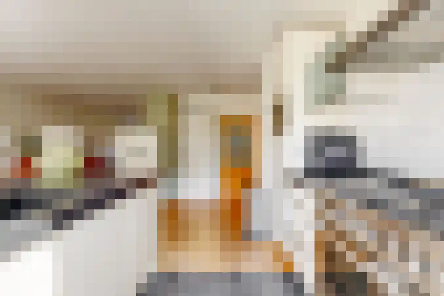 Ceder 34 Hoorn thumbnail 14