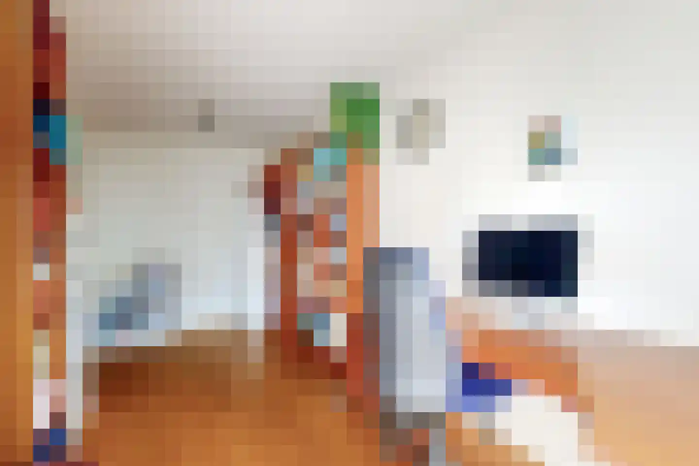 Ceder 34 Hoorn thumbnail 18