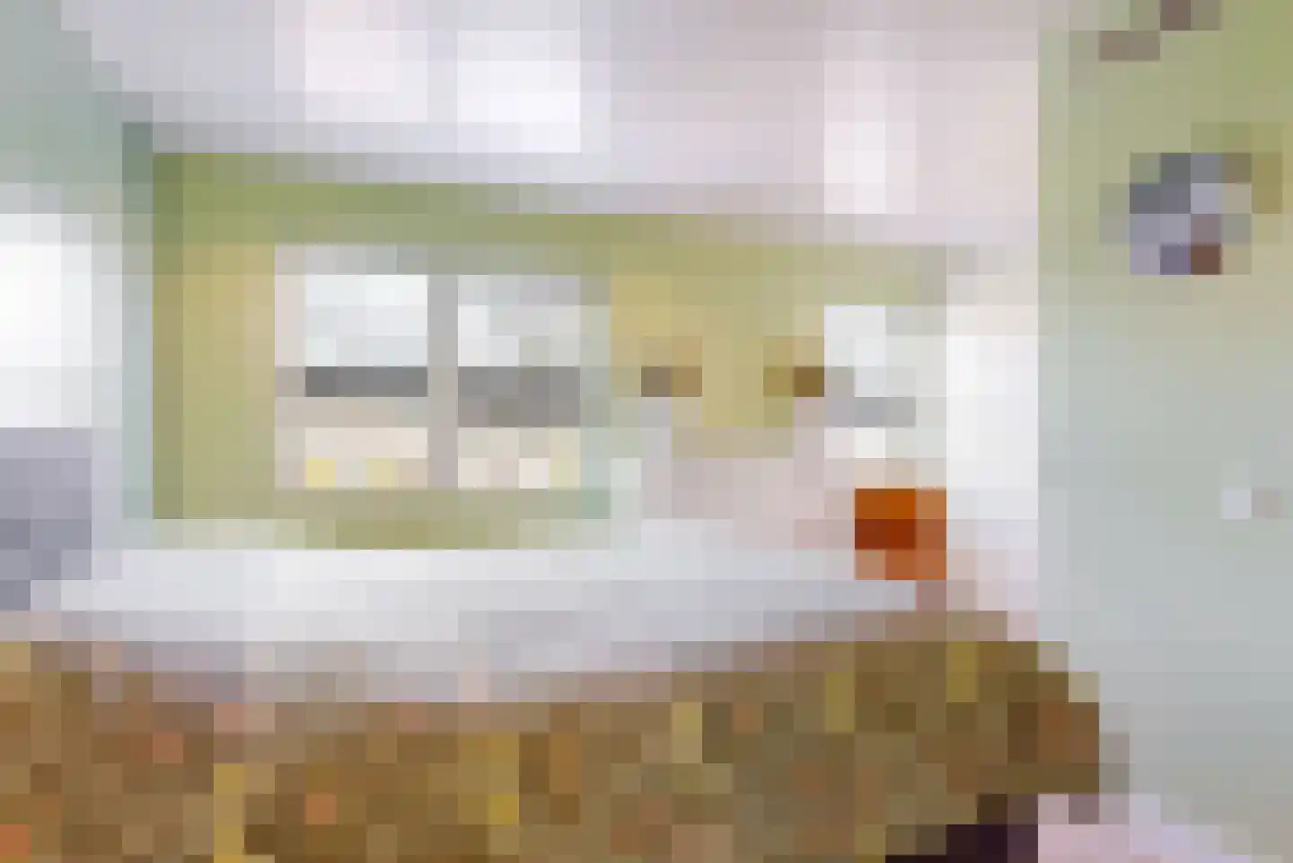 Ceder 34 Hoorn thumbnail 29