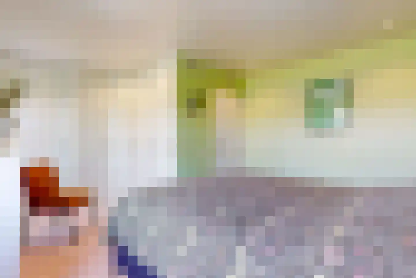 Ceder 34 Hoorn thumbnail 30