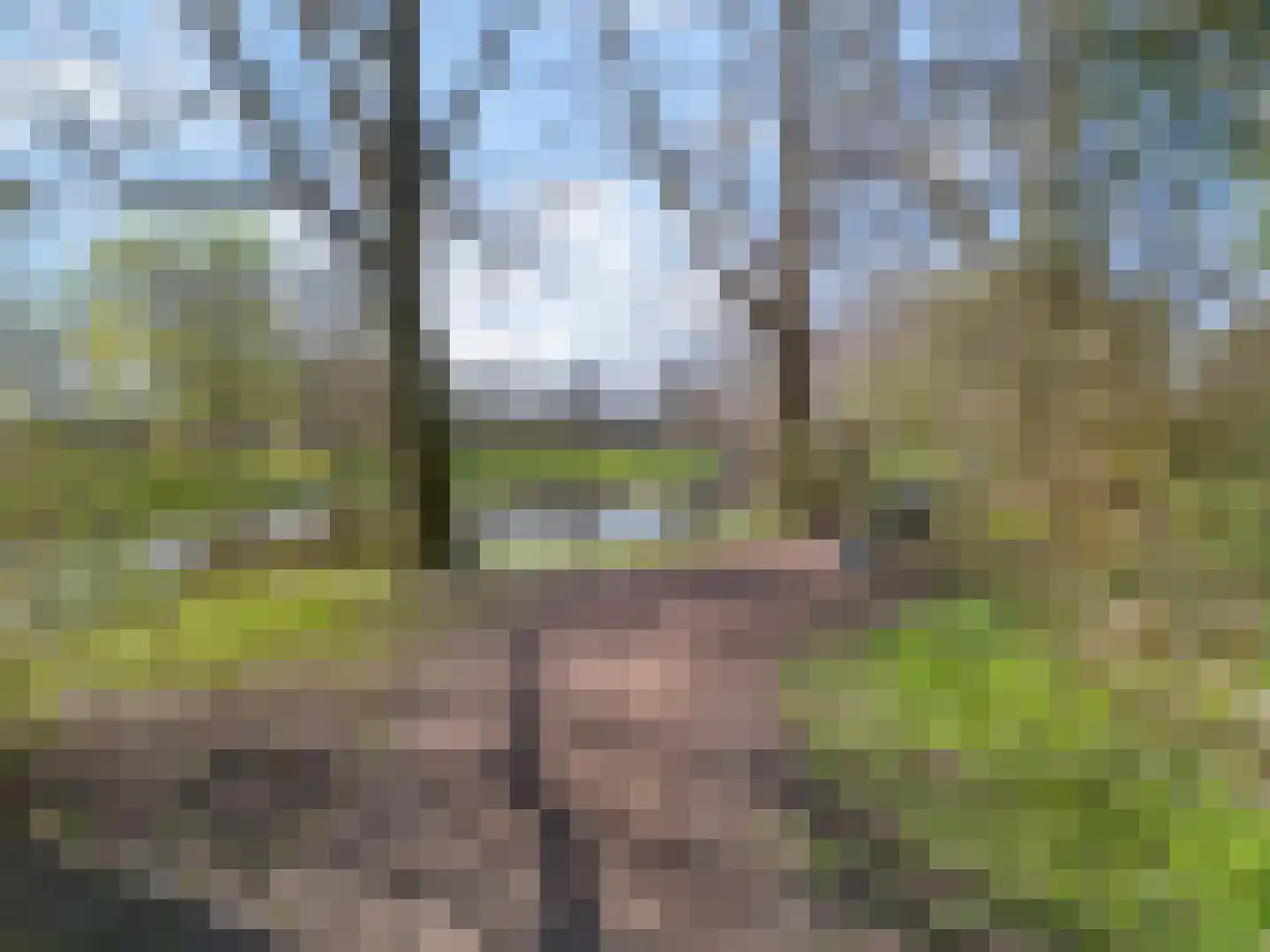 Ceder 34 Hoorn thumbnail 47