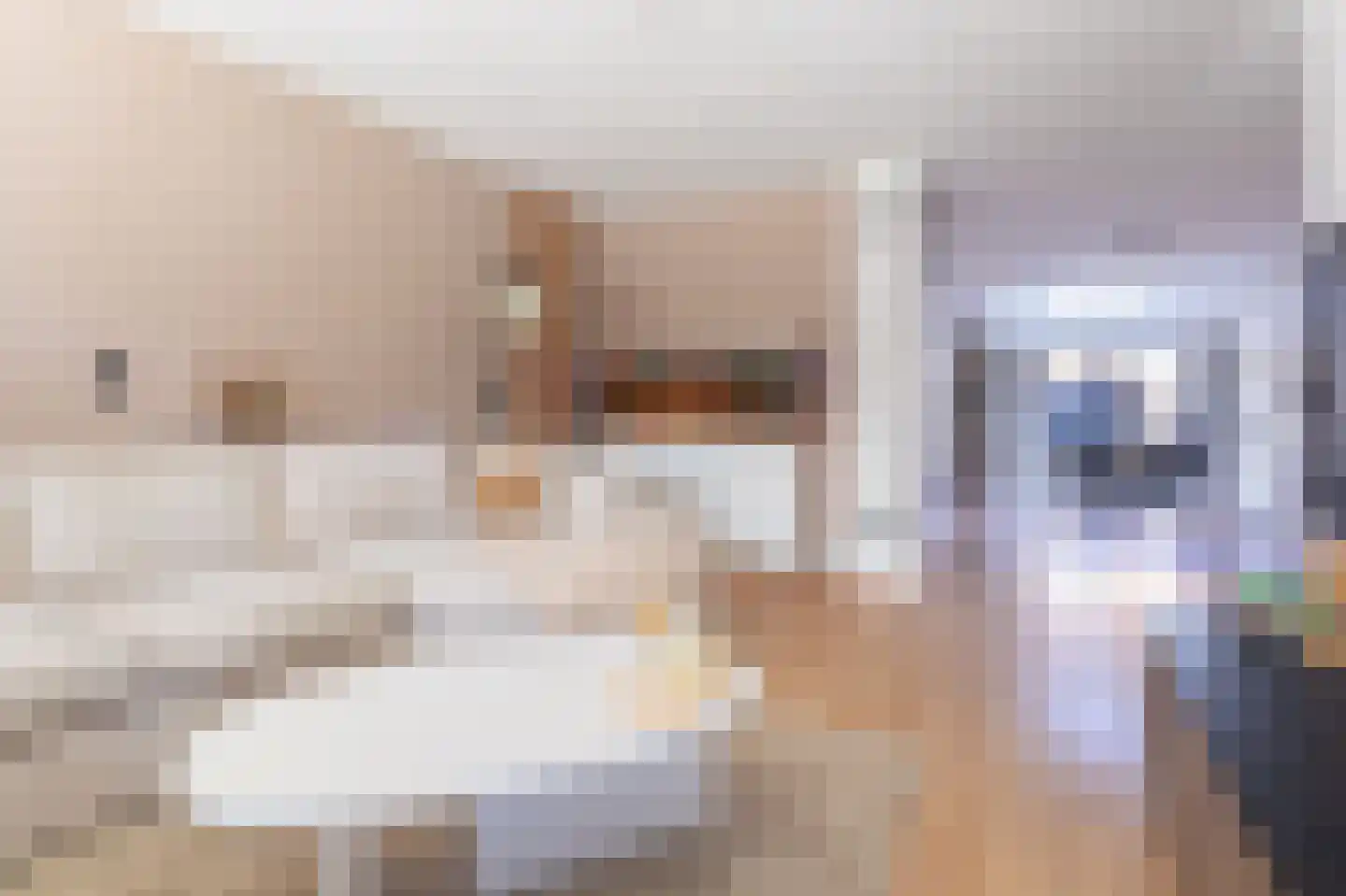 Ceder 85 Hoorn thumbnail 11