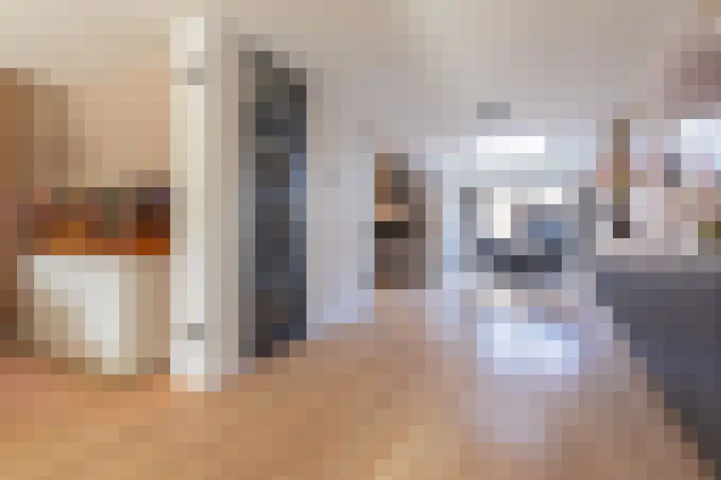 Ceder 85 Hoorn thumbnail 15