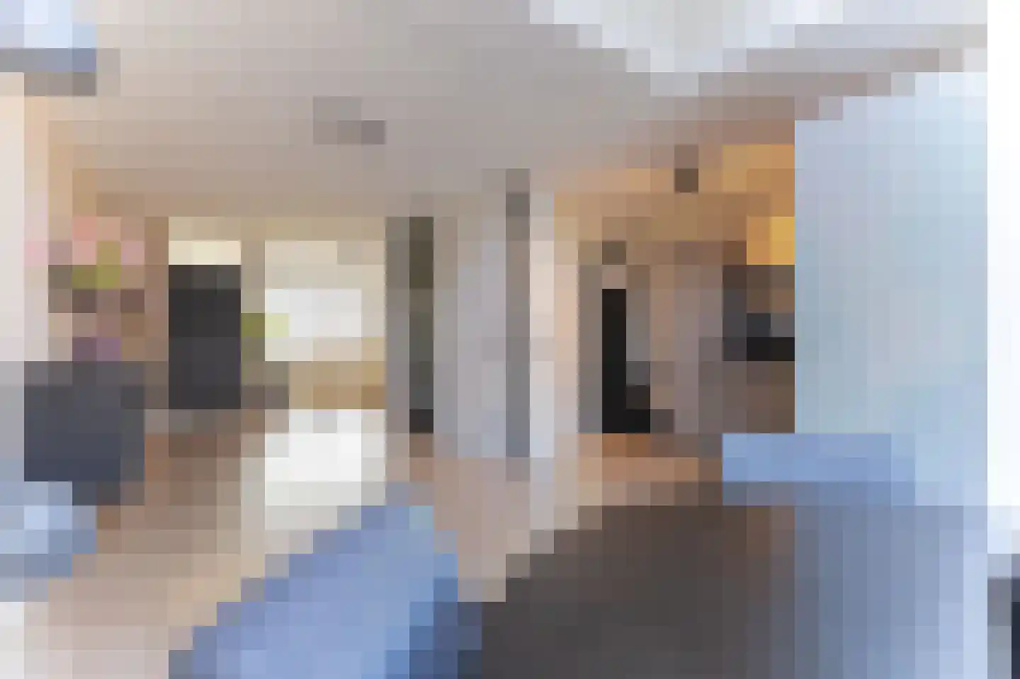 Ceder 85 Hoorn thumbnail 18
