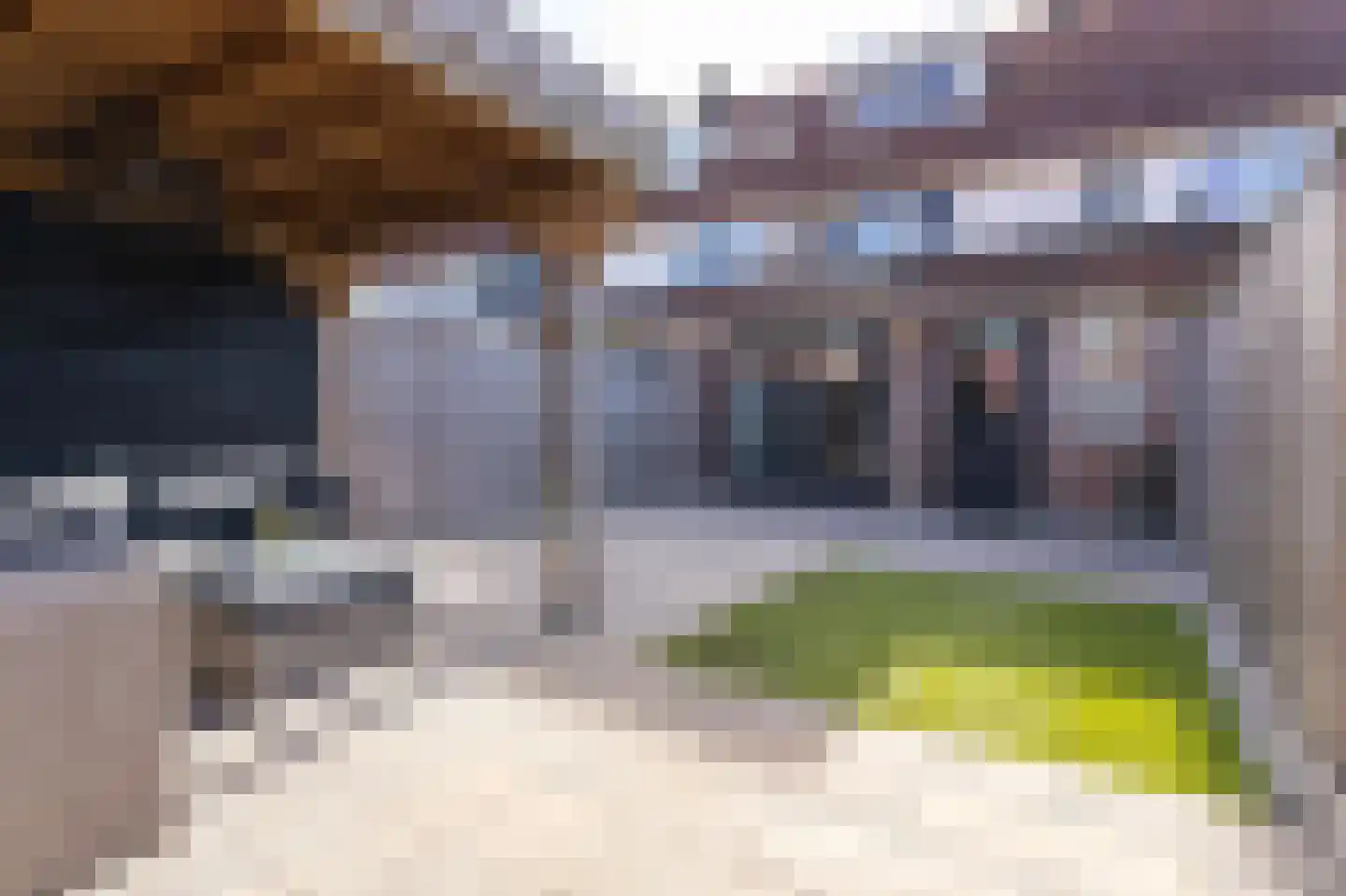 Ceder 85 Hoorn thumbnail 22