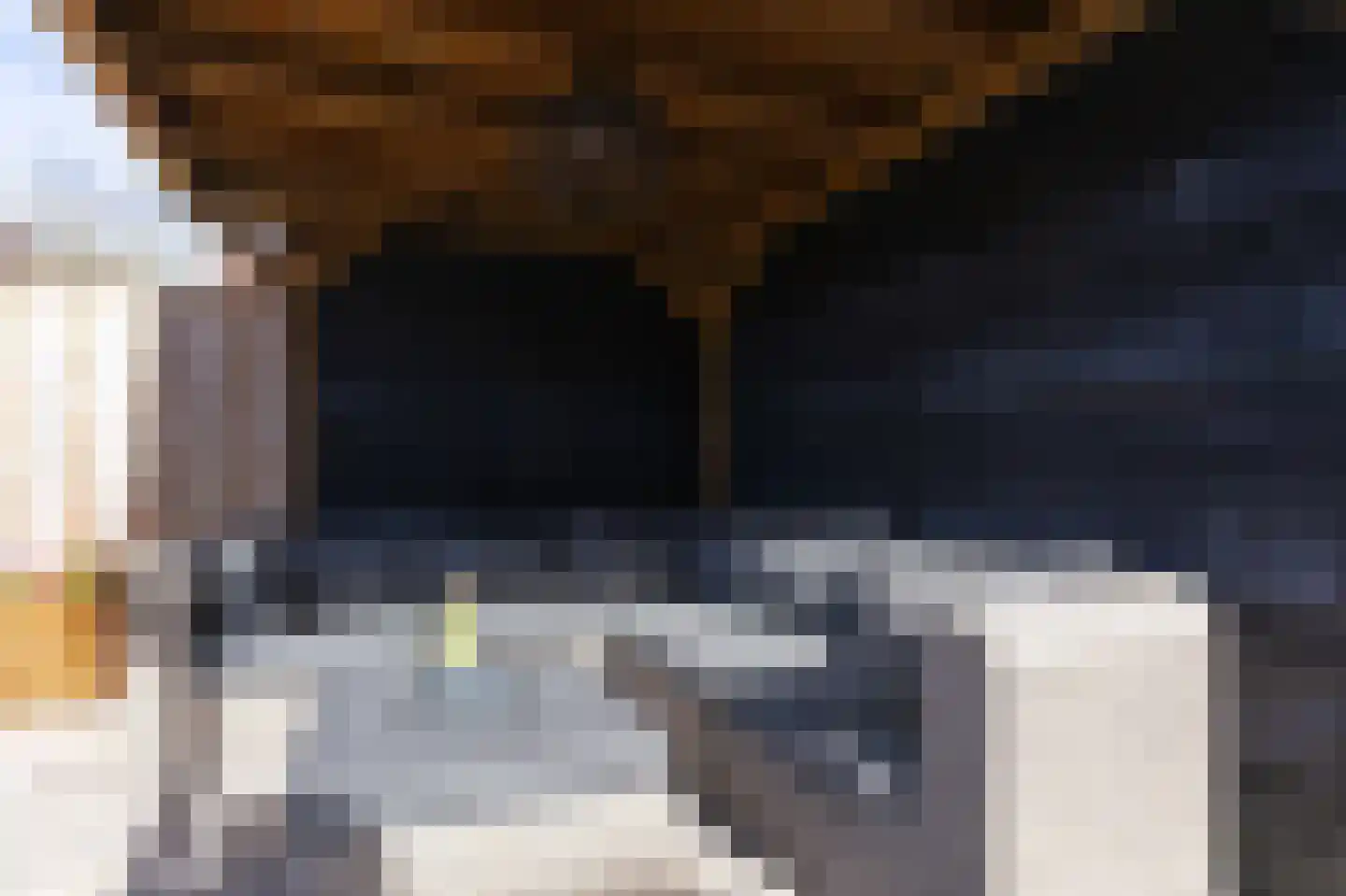 Ceder 85 Hoorn thumbnail 25