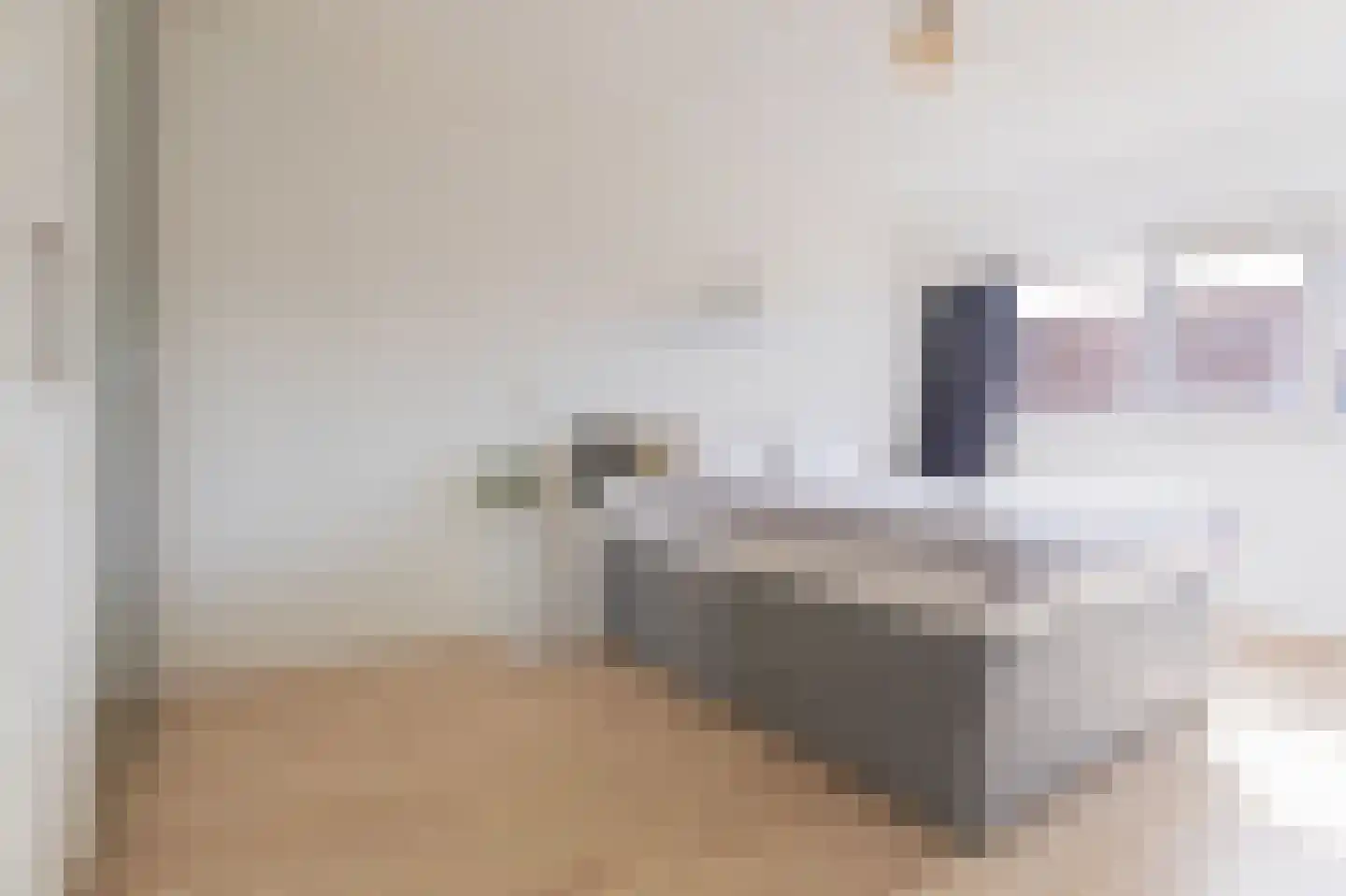 Ceder 85 Hoorn thumbnail 27