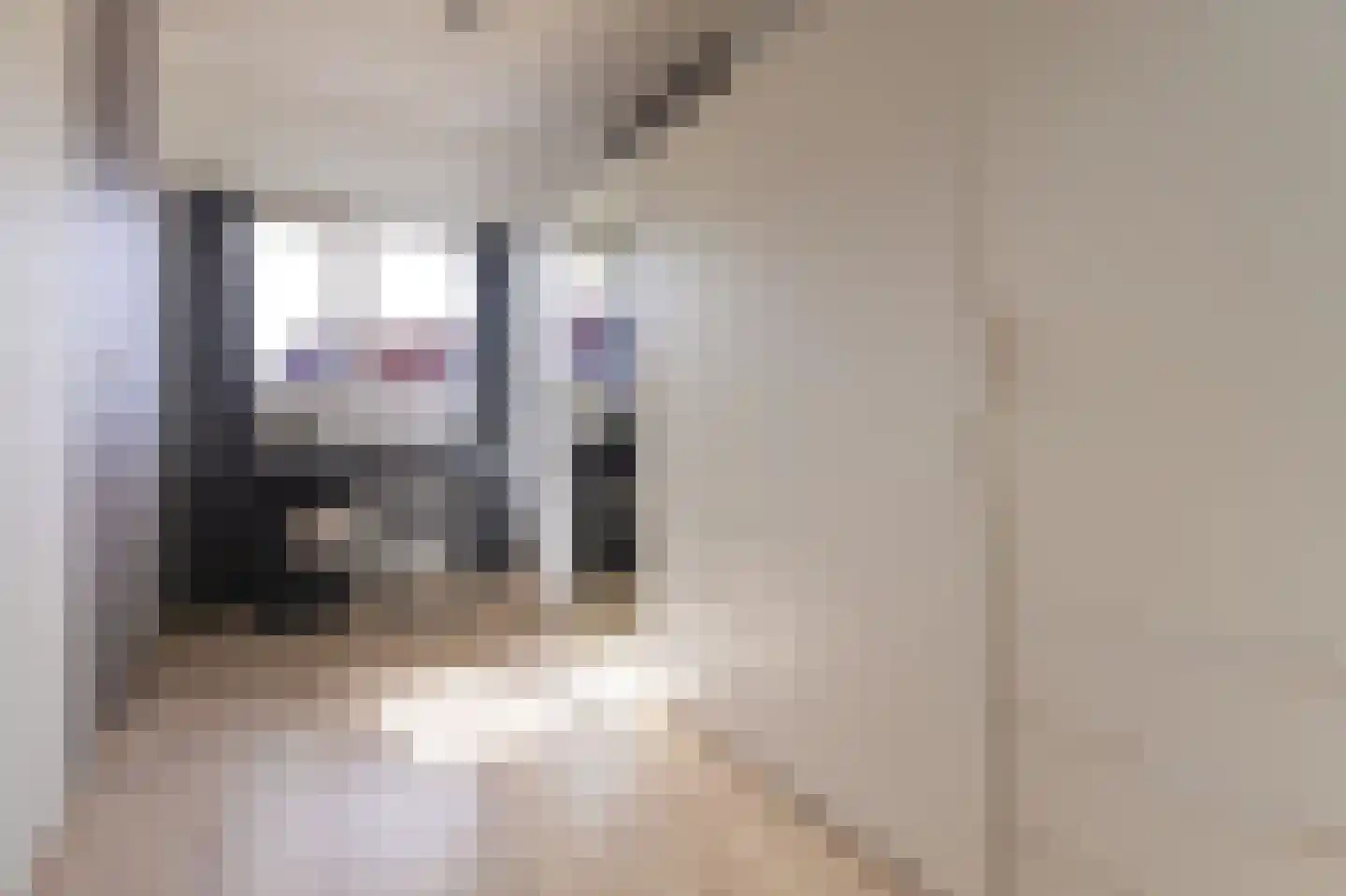 Ceder 85 Hoorn thumbnail 34
