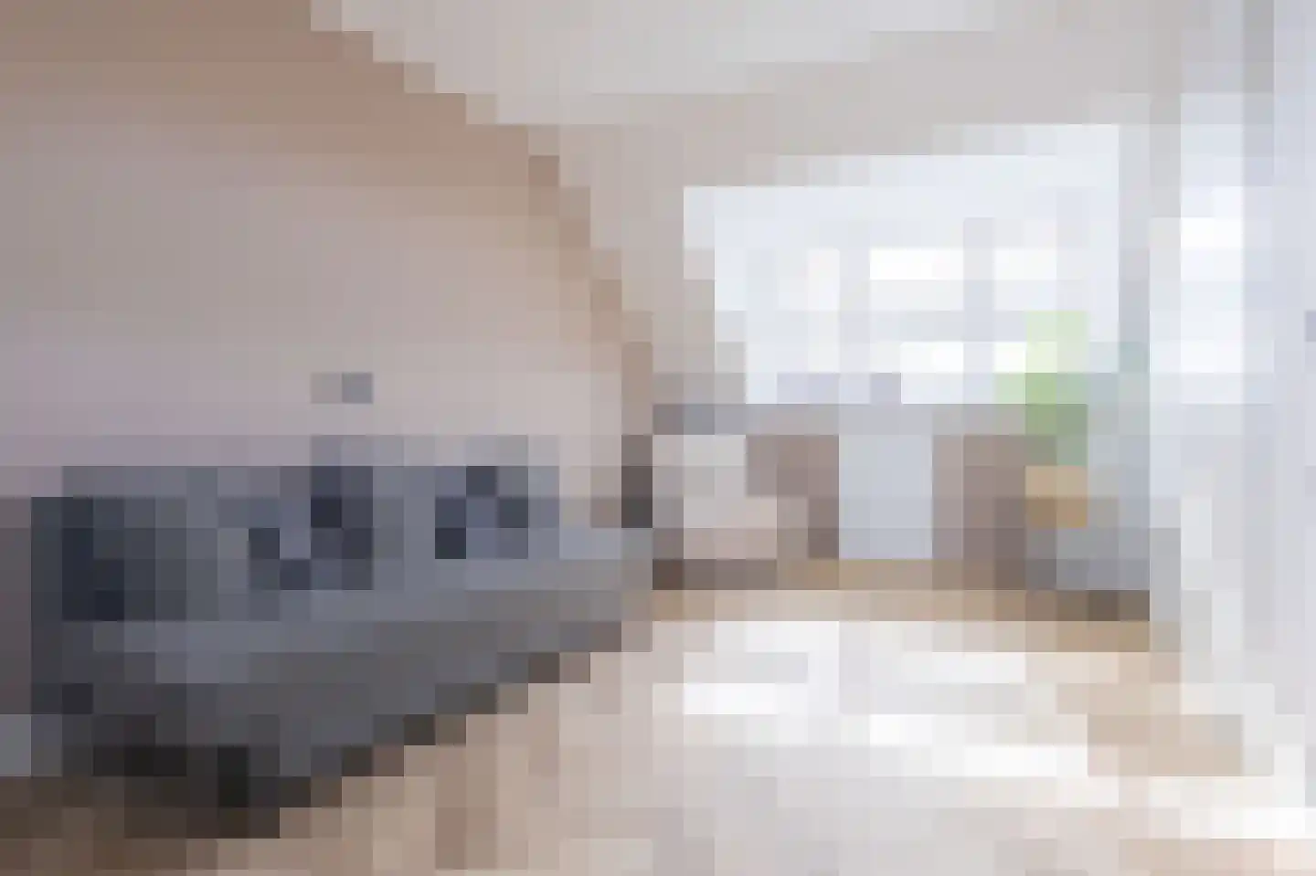 Ceder 85 Hoorn thumbnail 38