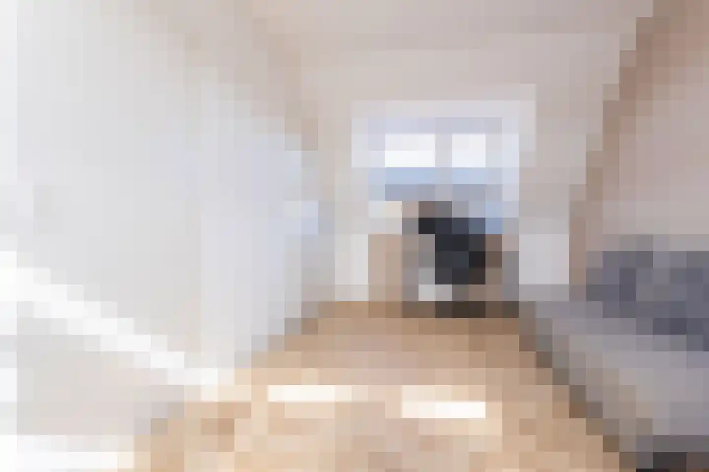 Ceder 85 Hoorn thumbnail 39