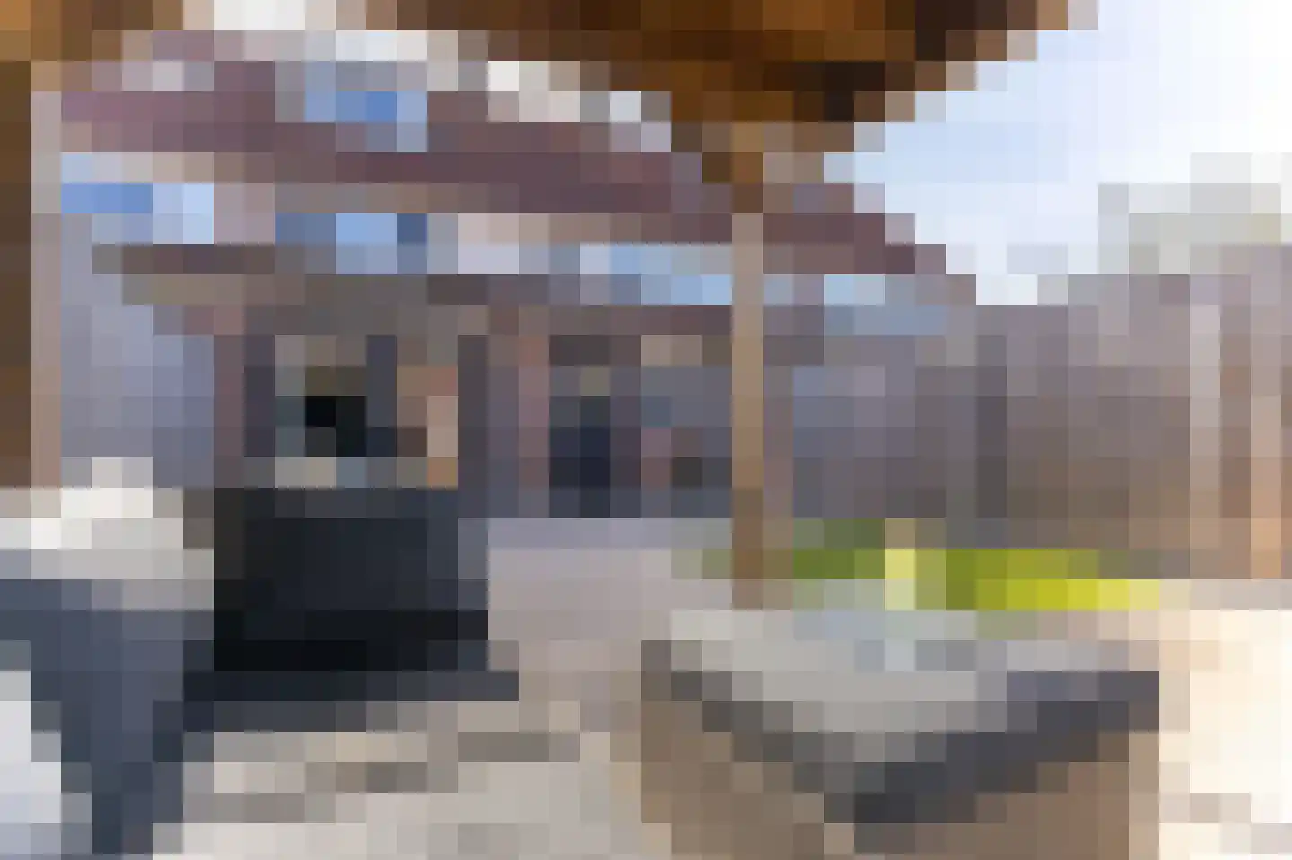 Ceder 85 Hoorn thumbnail 4