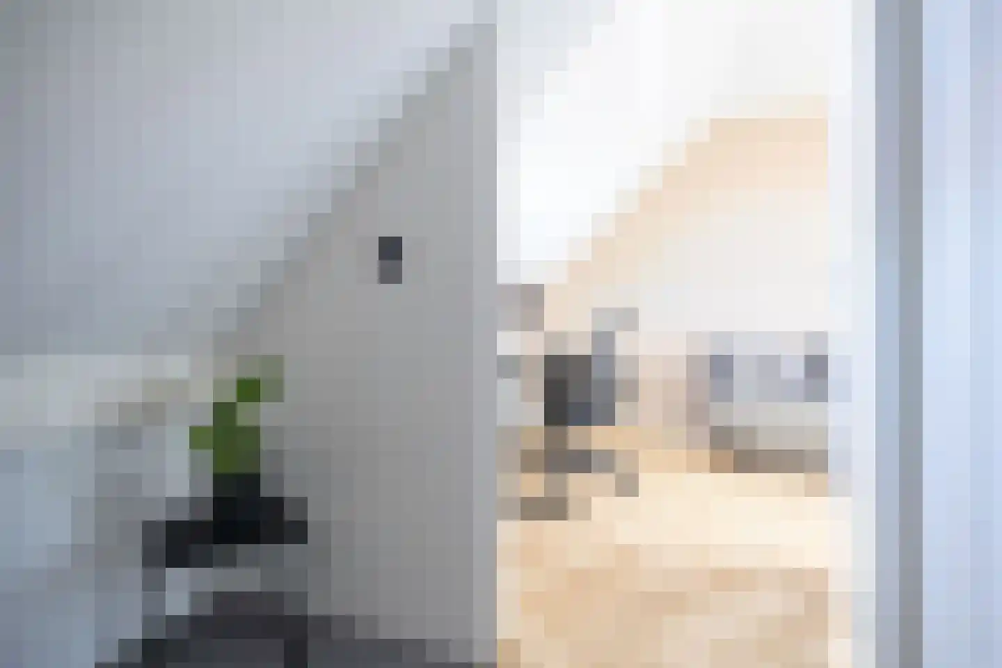 Ceder 85 Hoorn thumbnail 40