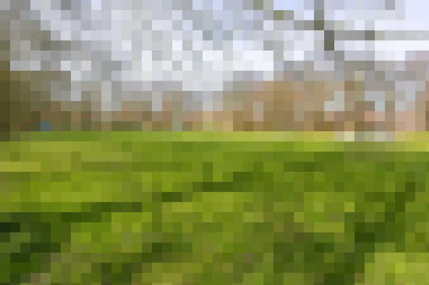 Ceder 85 Hoorn thumbnail 43