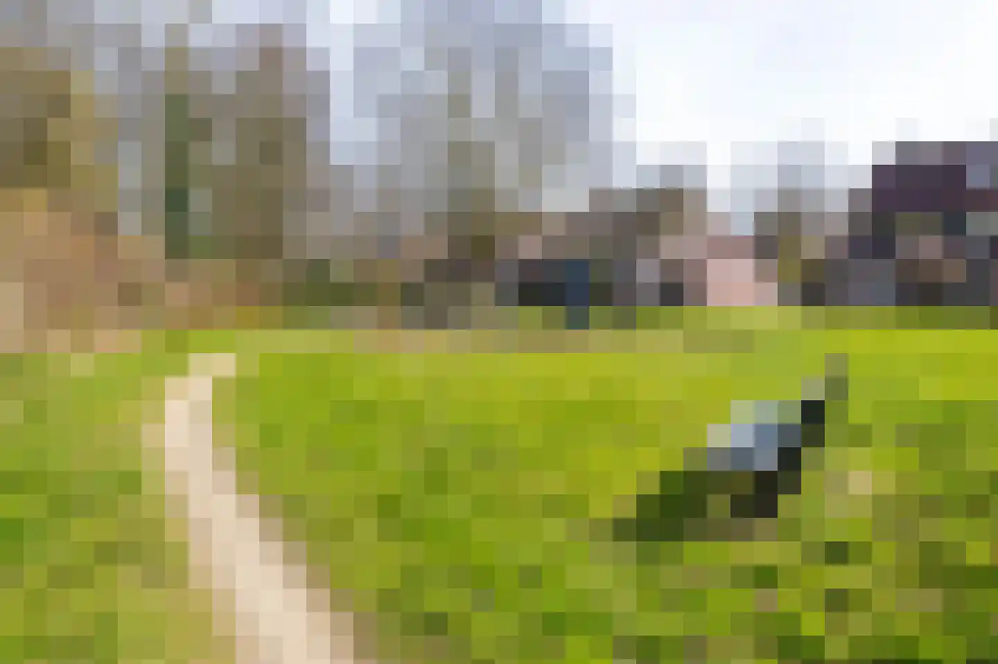 Ceder 85 Hoorn thumbnail 45
