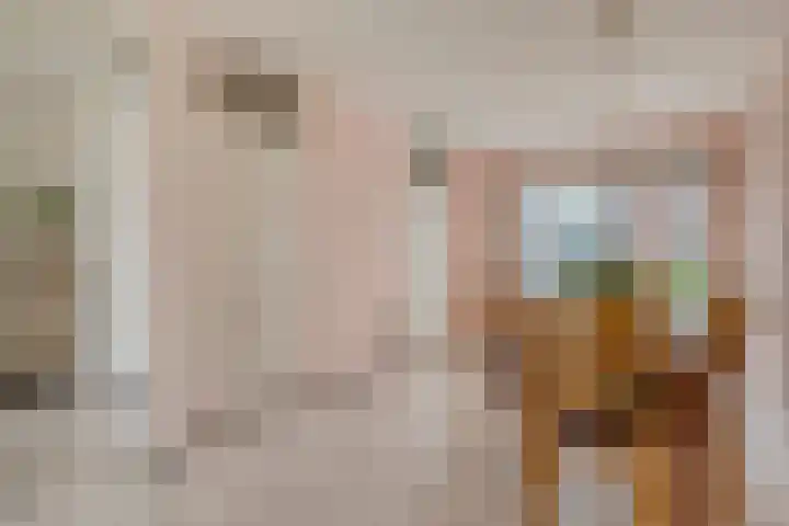 Ceder 95 Hoorn thumbnail 11