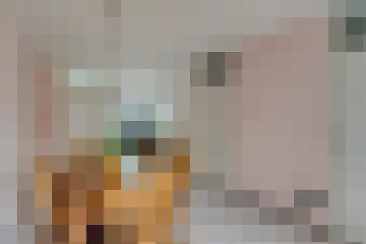 Ceder 95 Hoorn thumbnail 12
