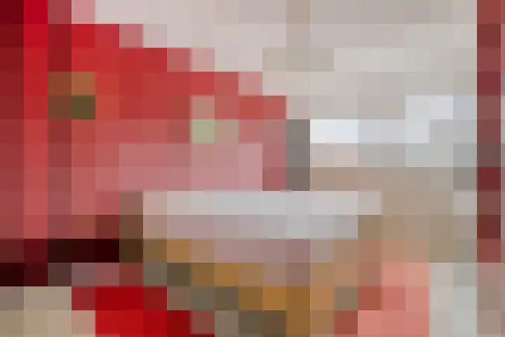 Ceder 95 Hoorn thumbnail 17
