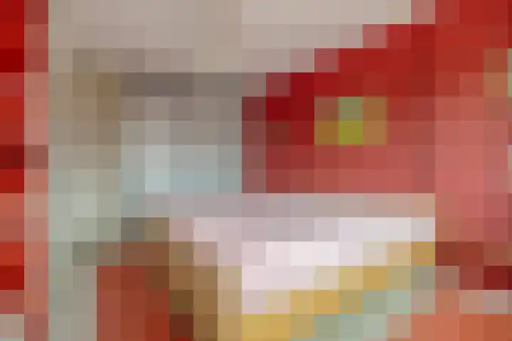 Ceder 95 Hoorn thumbnail 18