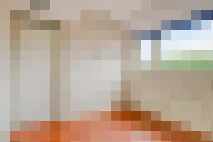 Ceder 95 Hoorn thumbnail 20