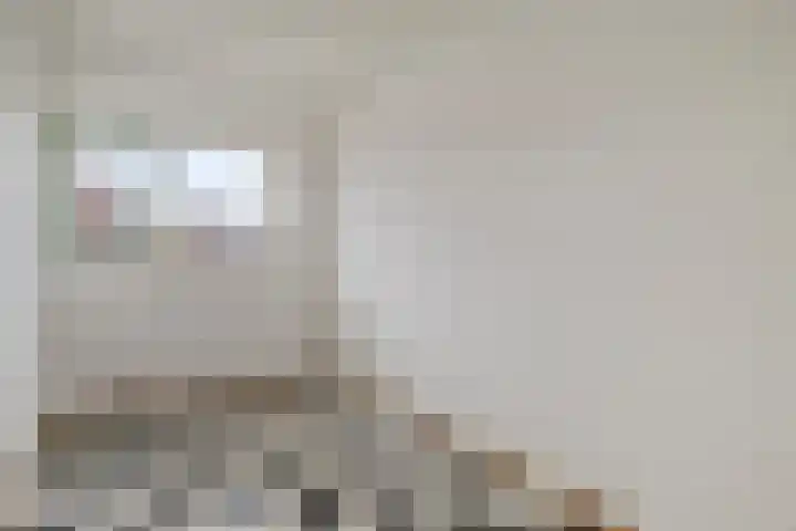 Ceder 95 Hoorn thumbnail 21