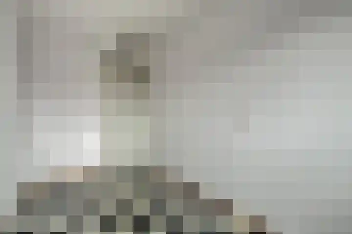 Ceder 95 Hoorn thumbnail 22
