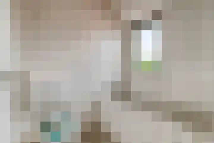 Ceder 95 Hoorn thumbnail 23