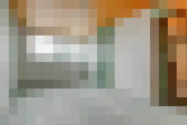 Ceder 95 Hoorn thumbnail 27