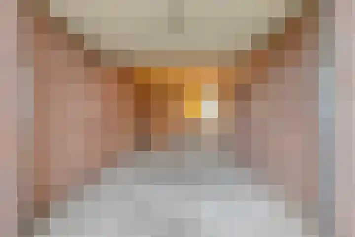 Ceder 95 Hoorn thumbnail 30