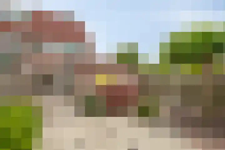 Ceder 95 Hoorn thumbnail 31