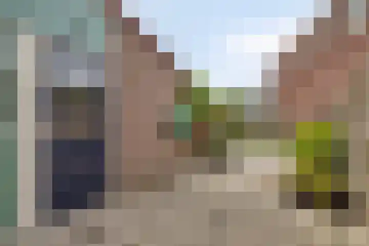 Ceder 95 Hoorn thumbnail 32