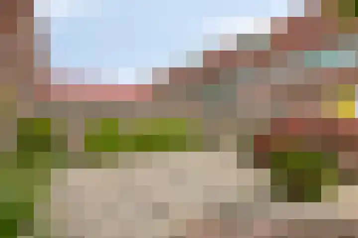 Ceder 95 Hoorn thumbnail 33
