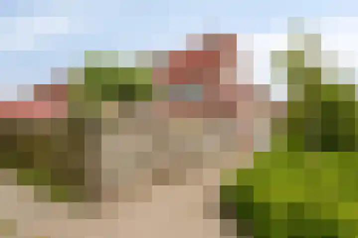 Ceder 95 Hoorn thumbnail 35