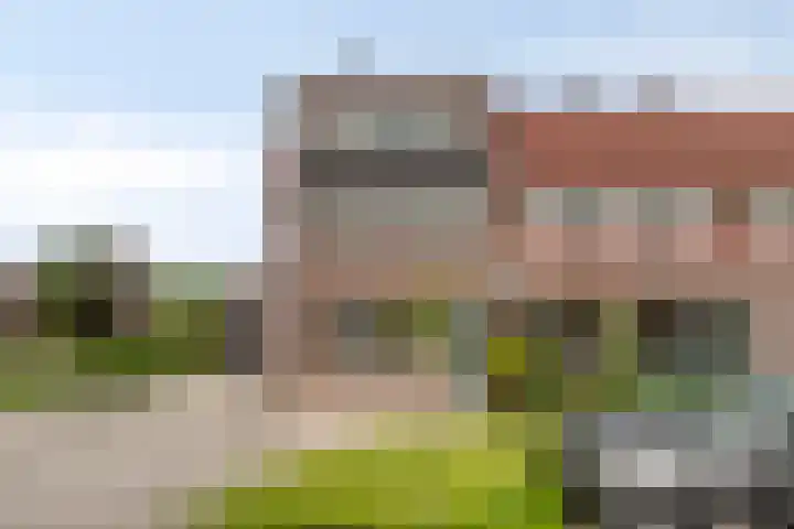 Ceder 95 Hoorn thumbnail 36