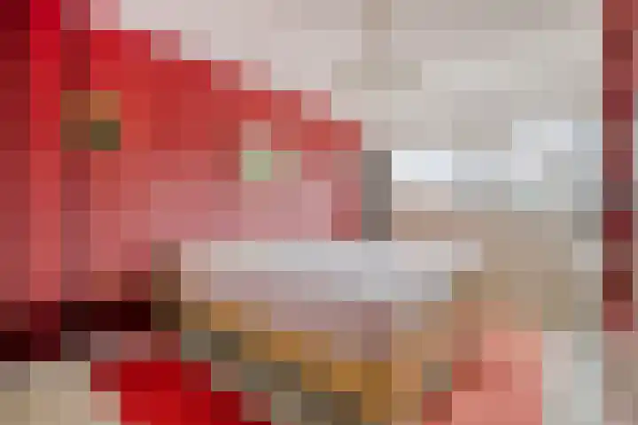 Ceder 95 Hoorn thumbnail 4