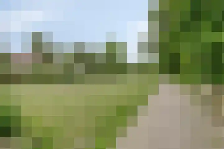 Ceder 95 Hoorn thumbnail 40