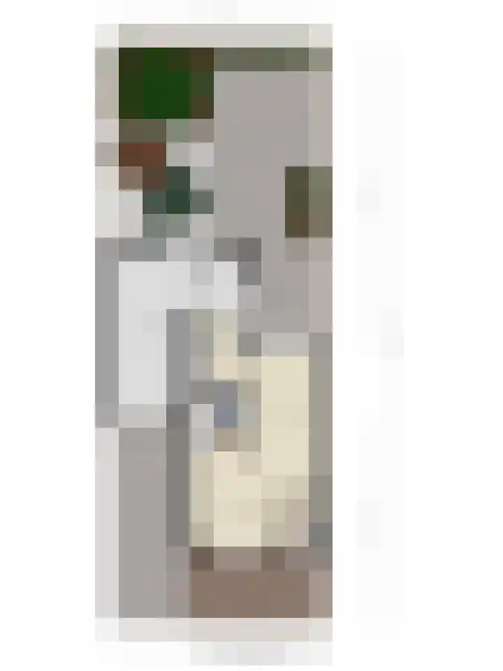 Ceder 95 Hoorn thumbnail 41