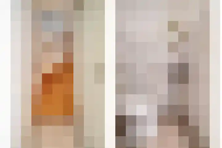 Ceder 95 Hoorn thumbnail 8