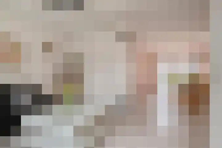 Ceder 95 Hoorn thumbnail 9