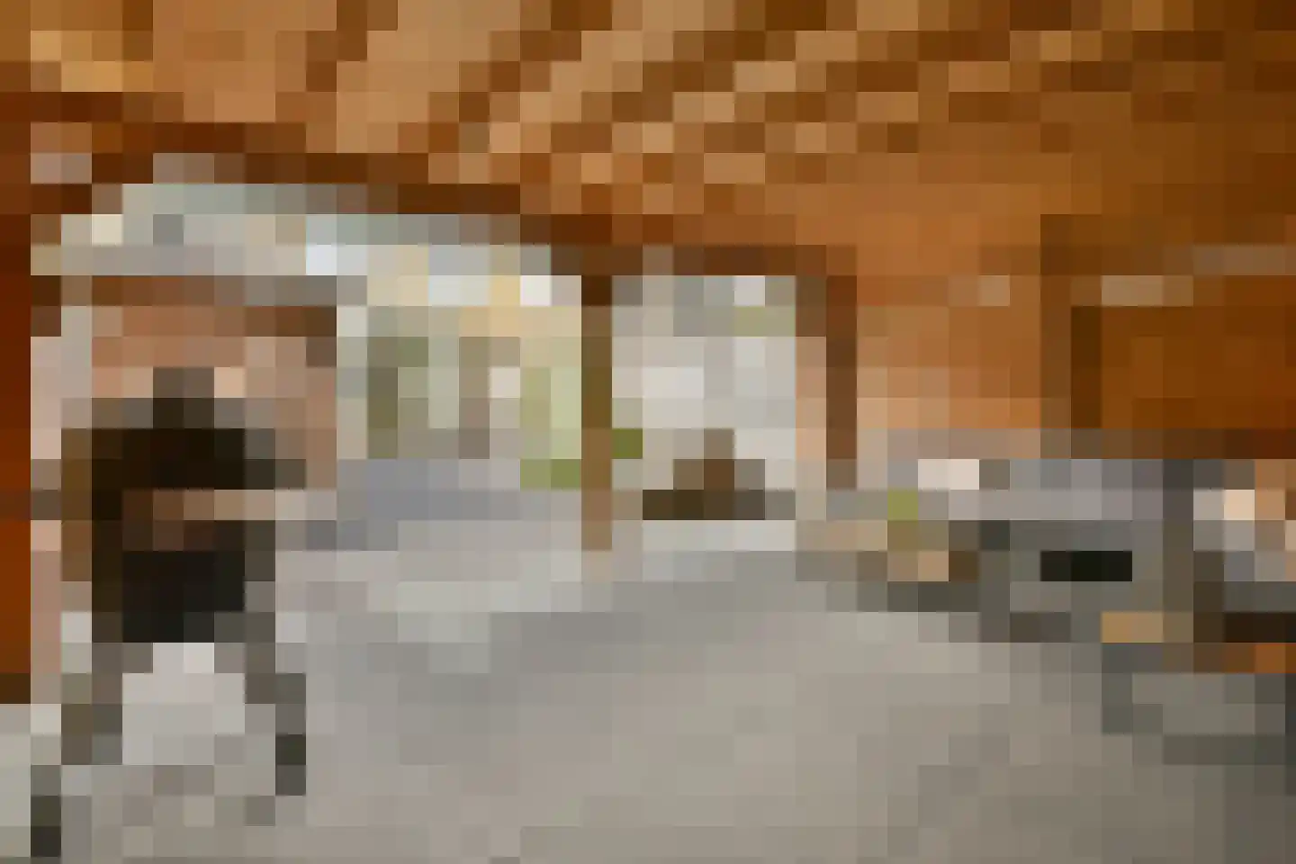 Cederdreef 14 Vlaardingen thumbnail 16