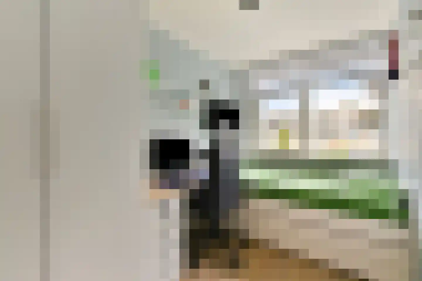 Cederdreef 14 Vlaardingen thumbnail 26